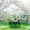 Park-bench-14d95785f948439fbc0962c4fe3afb27